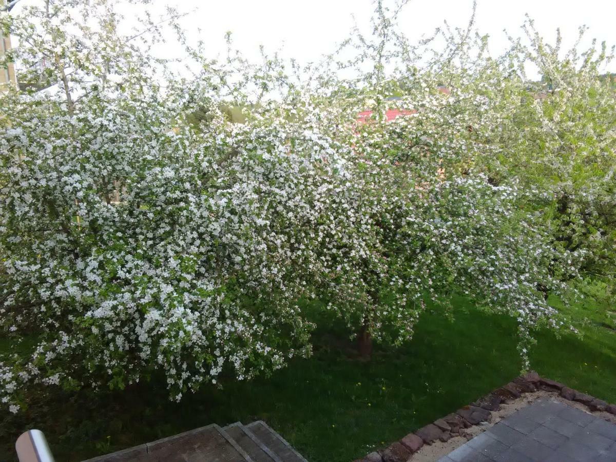 Ferienwohnung Barzen Ralingen Buitenkant foto